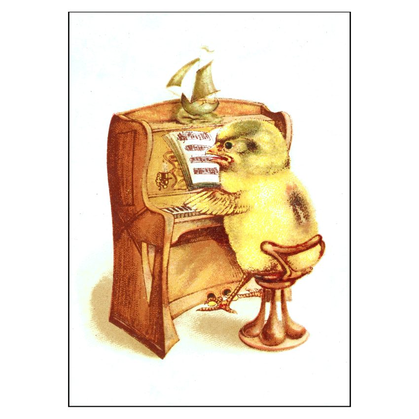 Wenskaart kitsch kuiken en piano